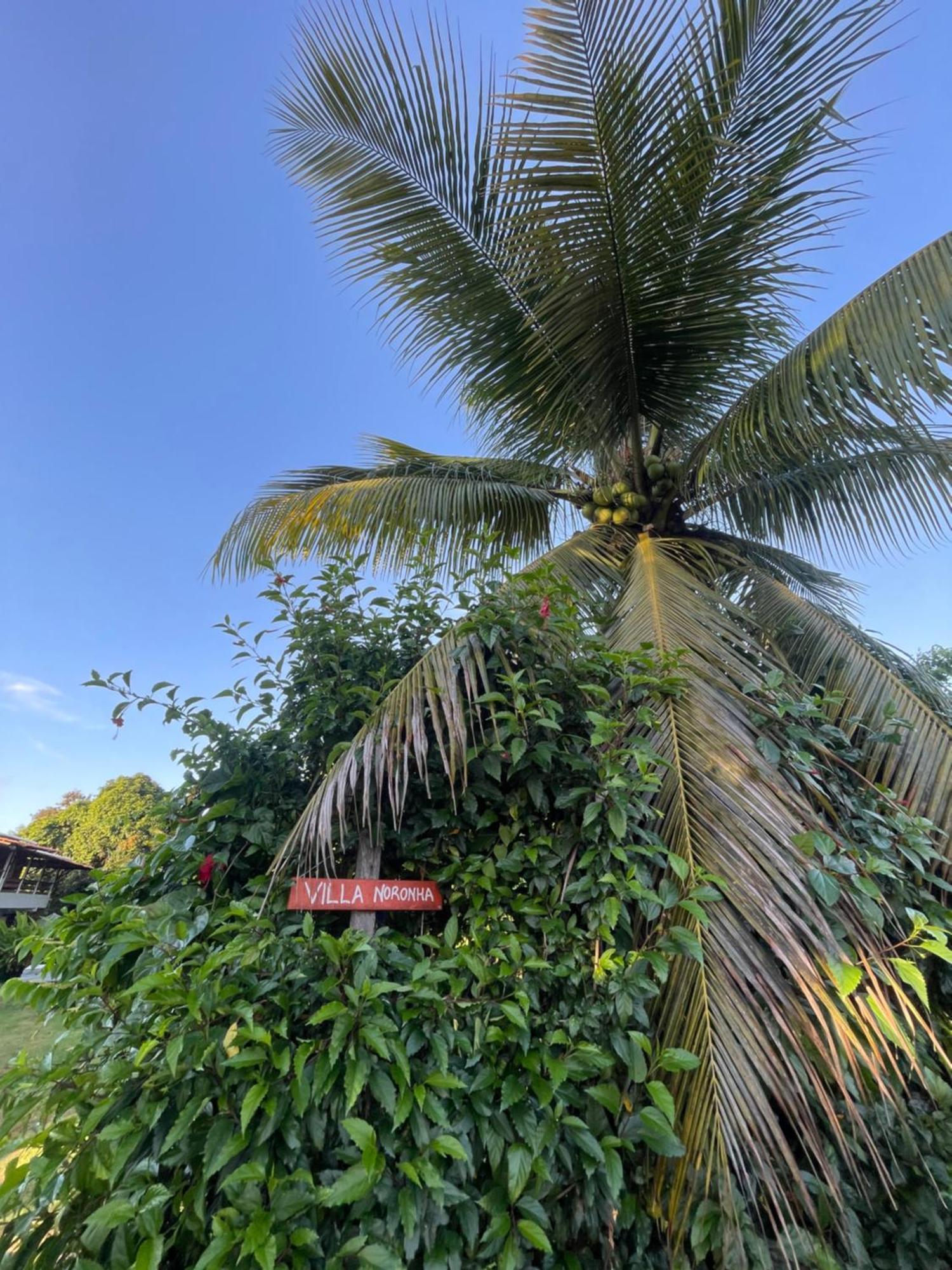 Guest house Noronha E Fernando de Noronha